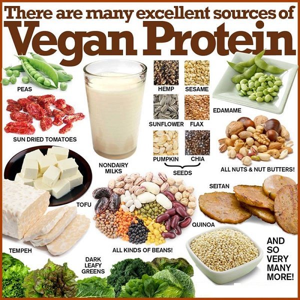 My vegan life: Vegan source of protein (I have 99 problems but protein ...