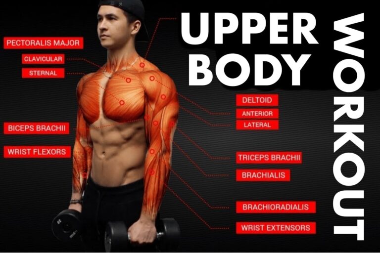 Upper Body Workouts That You Can Practice 2 Times A Week - Fitneass