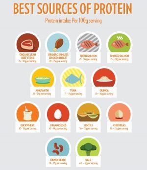 Top 10 Protein Sources To Integrate Into Your Diet - Fitneass