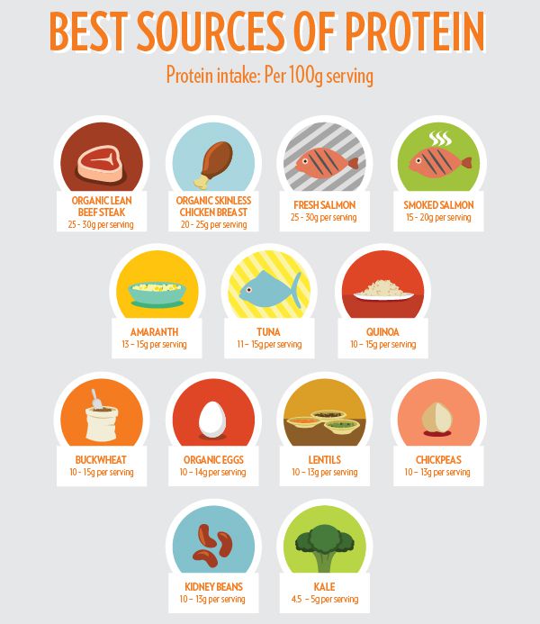 Top 10 Protein Sources To Integrate Into Your Diet - Fitneass