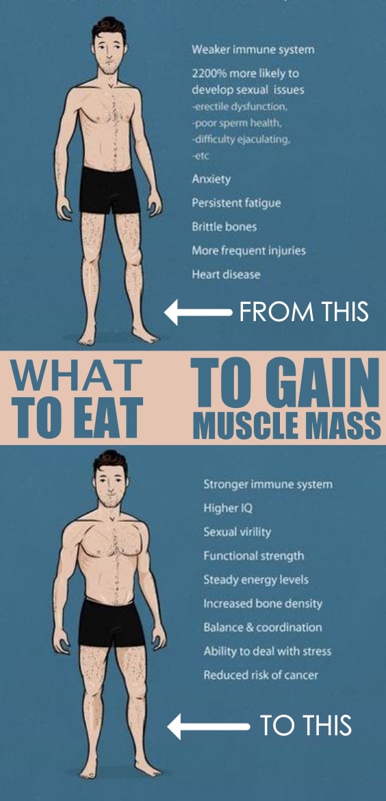 How Much Should I Eat Per Day To Gain Muscle Mass Fitneass