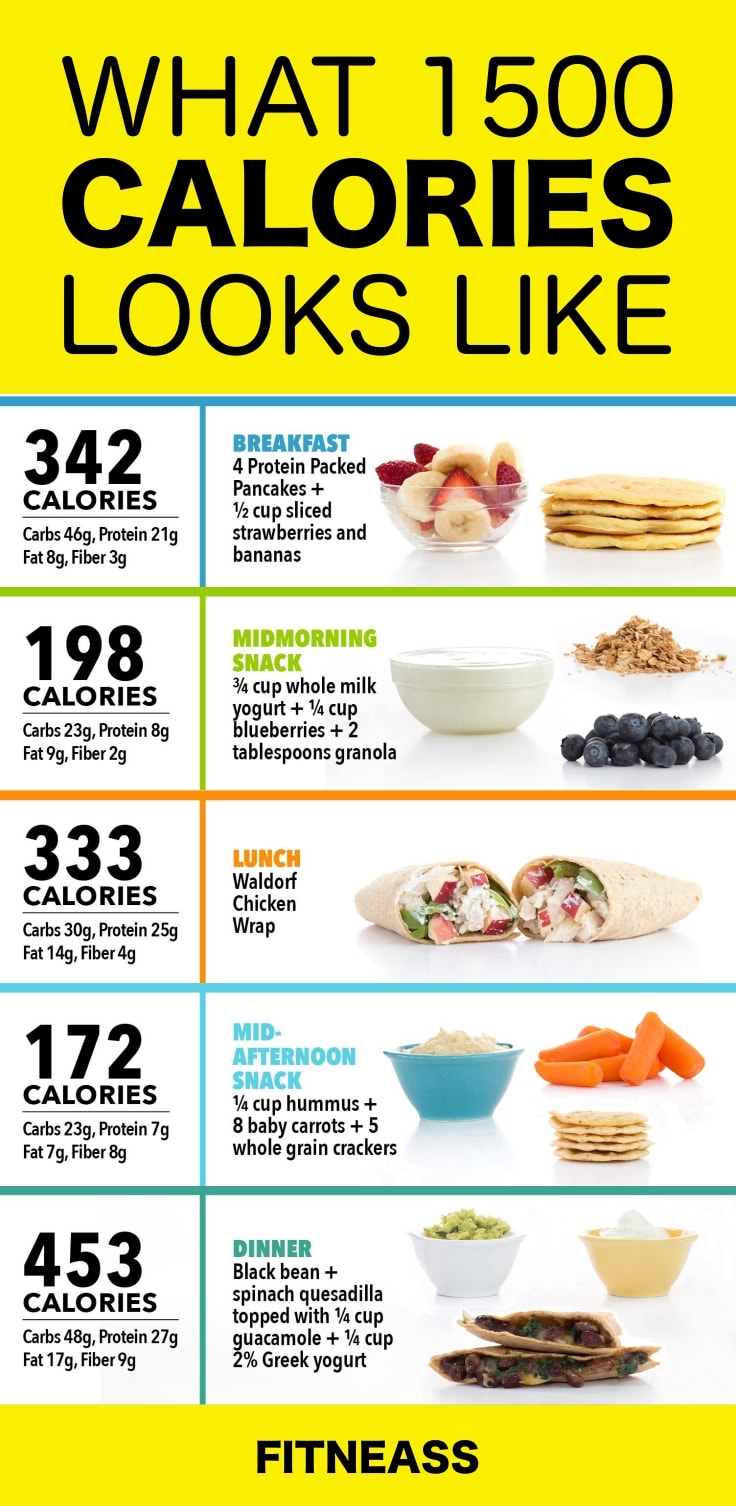 500 calories a day diet menu plan