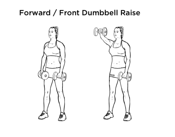 Dumbbell Front Raise Exercise For Shoulders