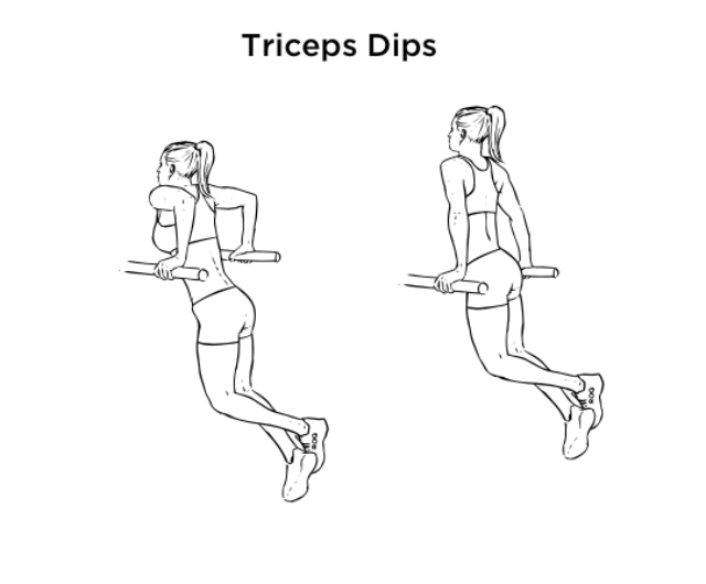 Triceps Dips Exercise For Triceps