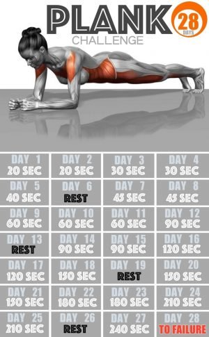 28-Day Plank Challenge To A Completely New Body - Fitneass