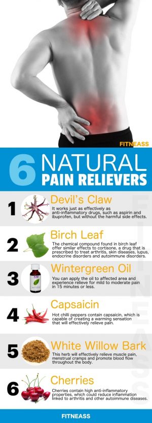 Exploring The Best Available Natural Pain Relievers - Fitneass