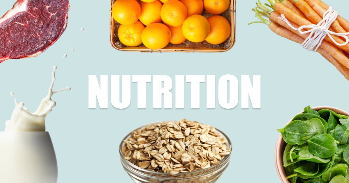 5 Reasons Why Proper Nutrition Is Important For Your Health - Fitneass