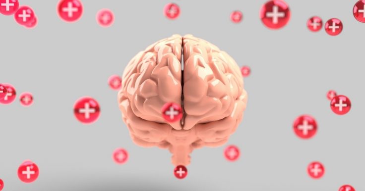 How Brain Training Affects Physical And Cognitive Health