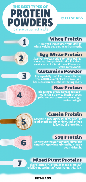 The 7 Best Protein Powders For Maximizing Workouts - Fitneass