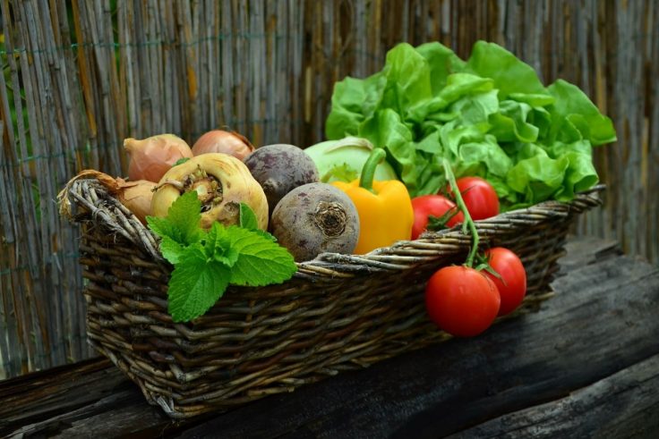 Reasons To Eat Organic Food