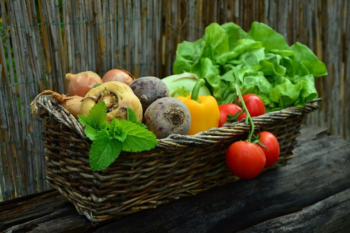 6 Important Reasons To Eat Organic Food Fitneass