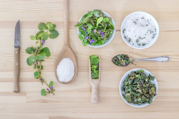The Powerful Benefits Of Herbal Medicine