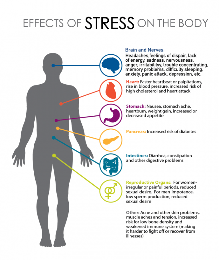 How To Successfully Manage Everyday Stress - Fitneass