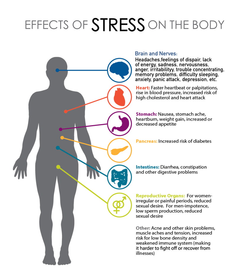 Effects Of Stress On The Body