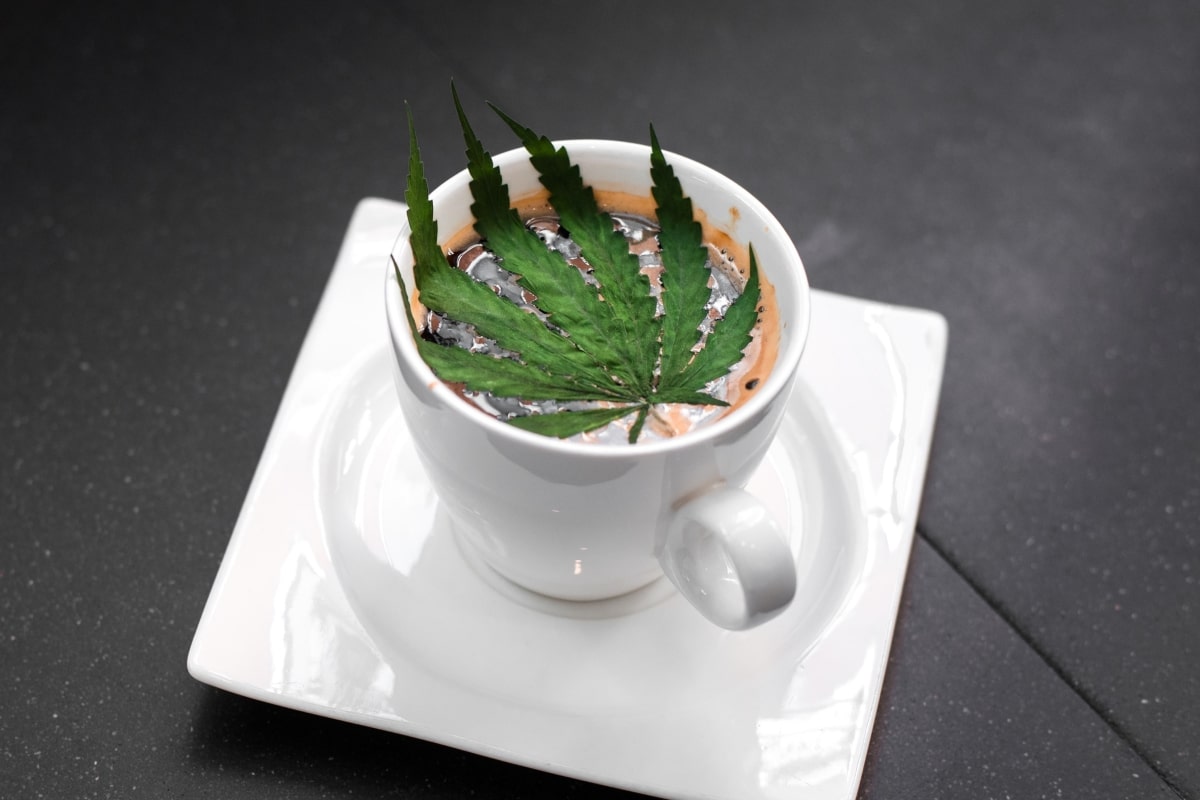 5 Cbd Coffee’s Amazing Health Benefits